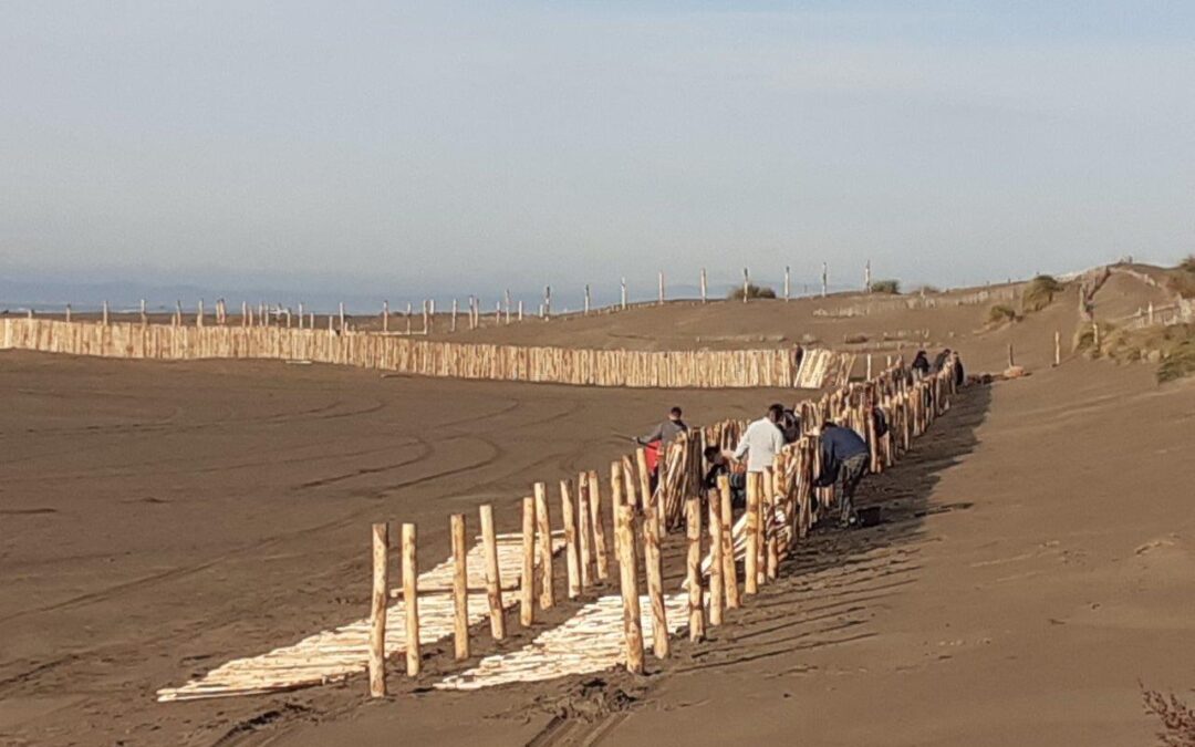 Chantier Patrimoine – Terre de Camargue