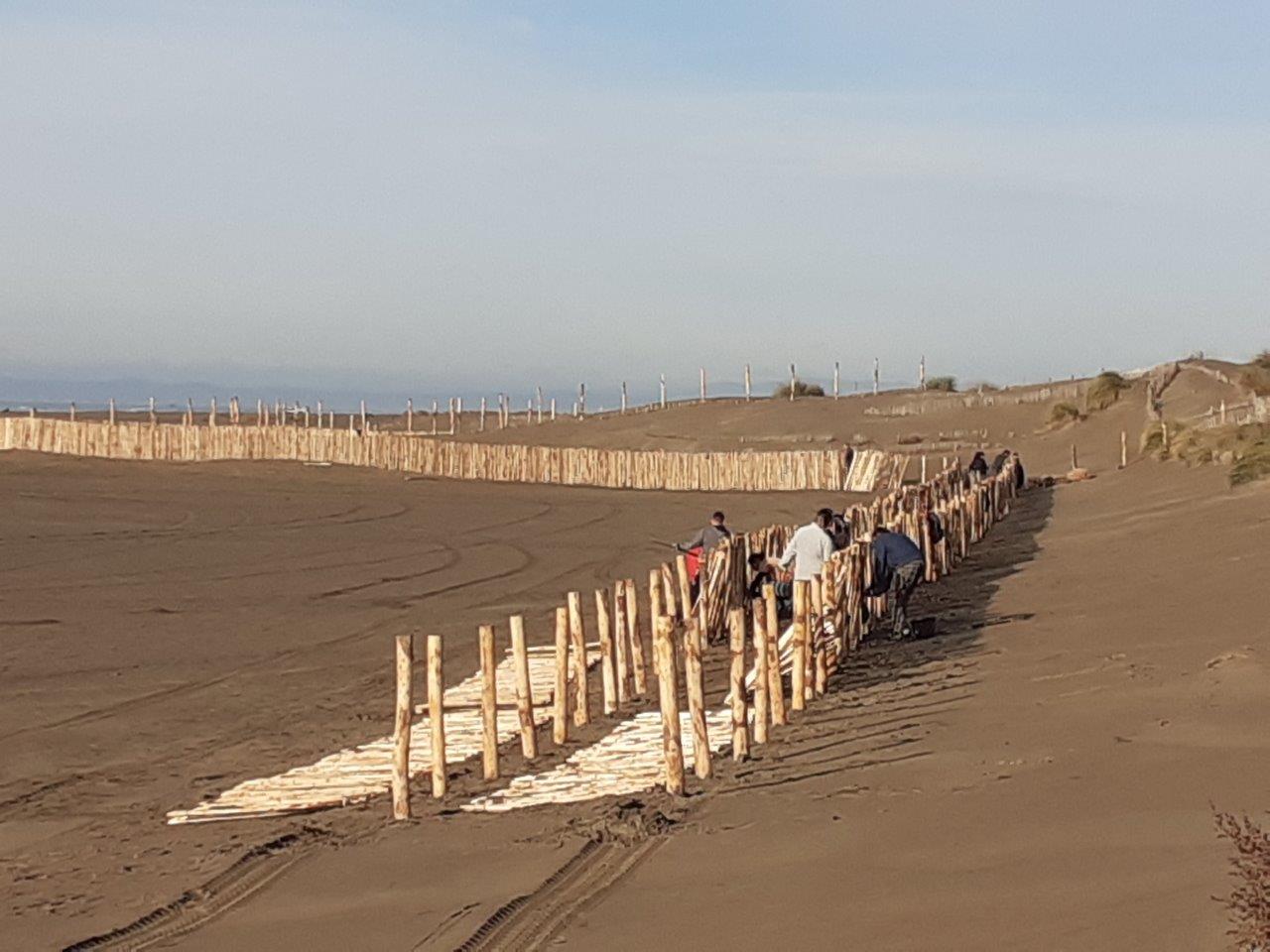 Chantier Patrimoine – Terre de Camargue